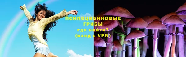 не бодяженный Лабытнанги