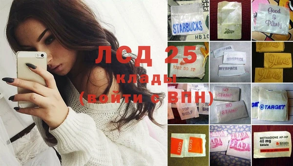 Альфа ПВП Лагань