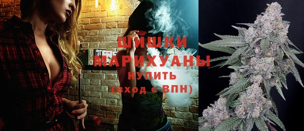 Альфа ПВП Лагань