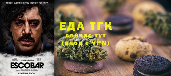 Альфа ПВП Лагань