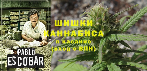ECSTASY Кукмор