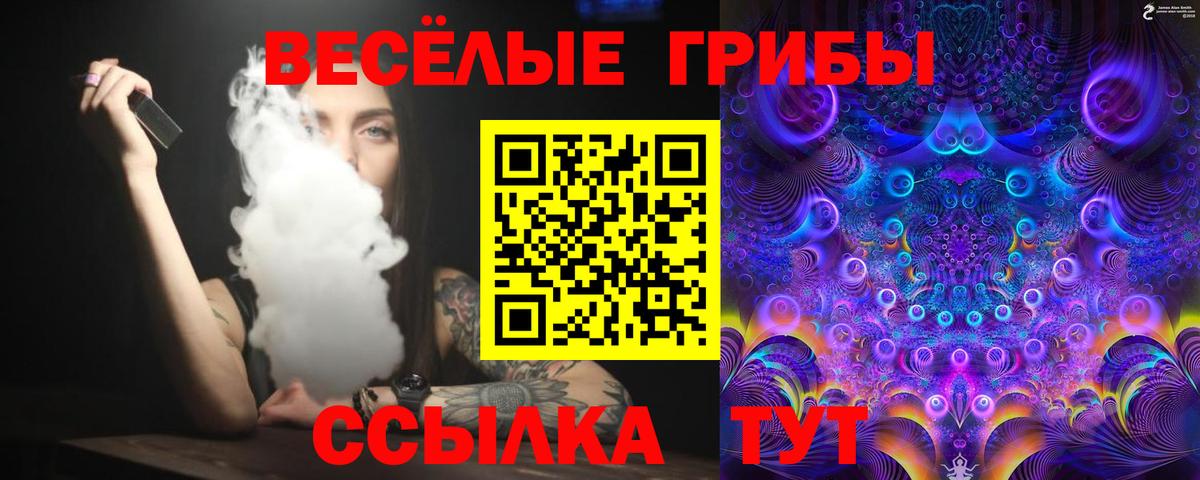 Псилоцибиновые грибы Magic Shrooms  Железноводск 