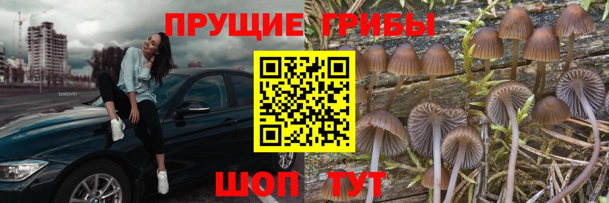 продажа наркотиков  Вход с VPN  Железноводск  Псилоцибиновые грибы мухоморы 