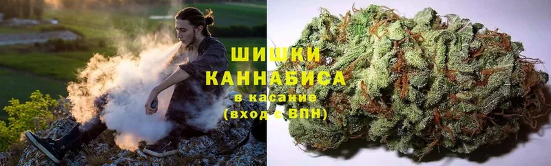 магазин  наркотиков  Железноводск  Конопля SATIVA & INDICA 